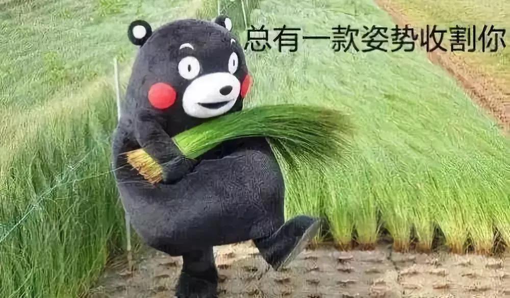 炒股荐股骗术,炒股高手透露炒股秘密