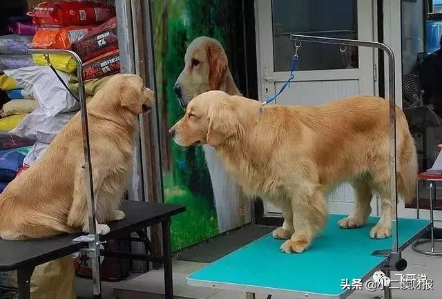 四川成都各大批发市场值得收藏