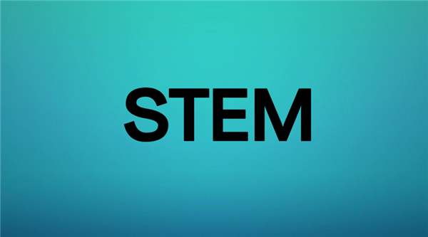 蒙台梭利儿童之家后期孩子的发展,蒙台梭利家庭与孩子