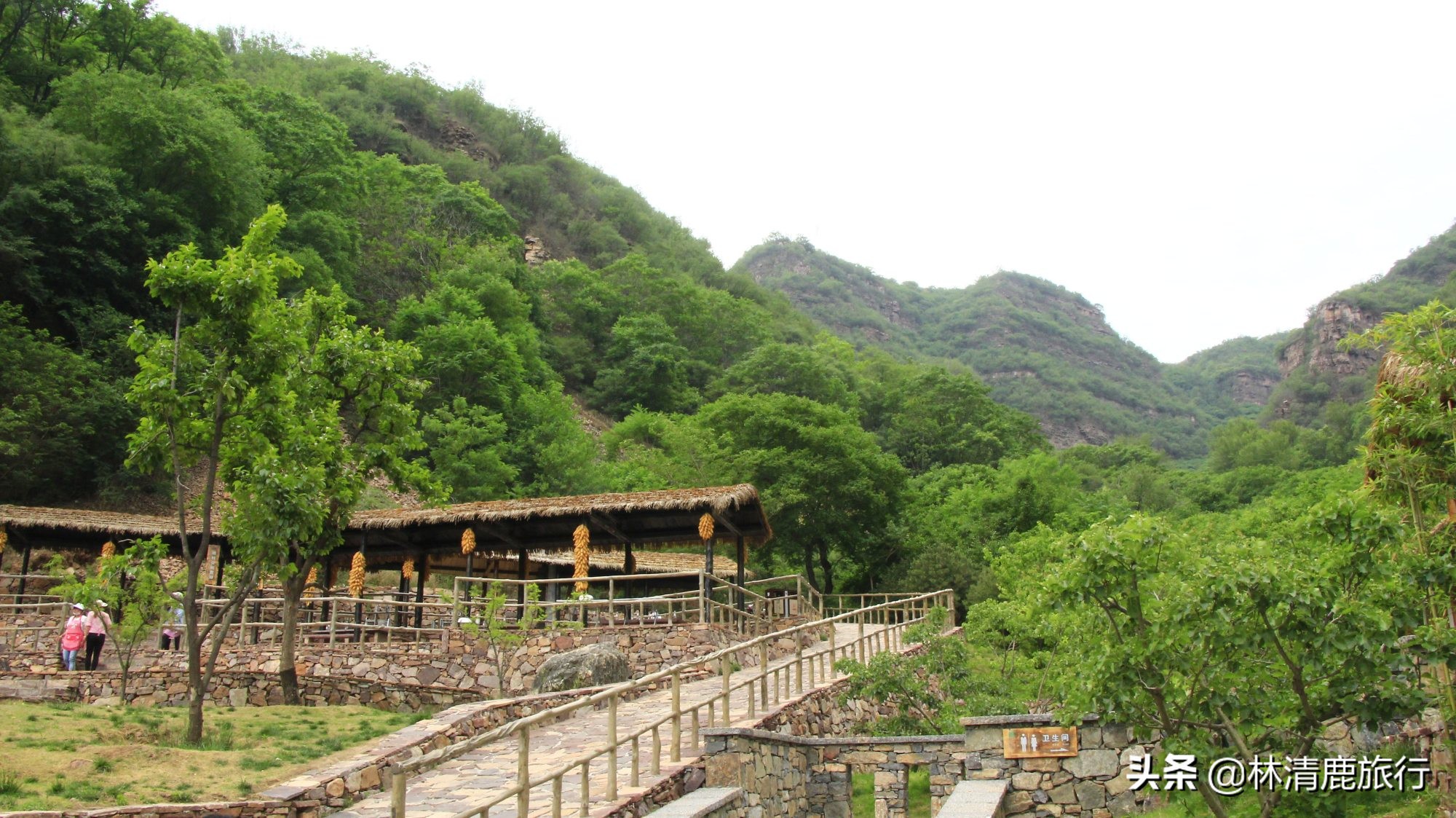 河南适合老人的自然景区,河南适合自驾游的山路