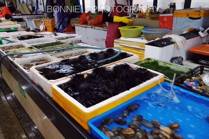 嵊泗列岛五天四夜旅游攻略,4月初嵊泗列岛2天一晚旅游攻略