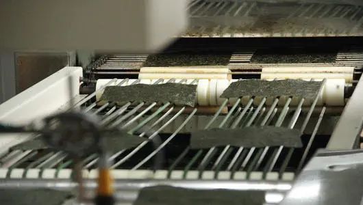 紫菜和海苔的区别大全,海苔与紫菜的区别在哪里