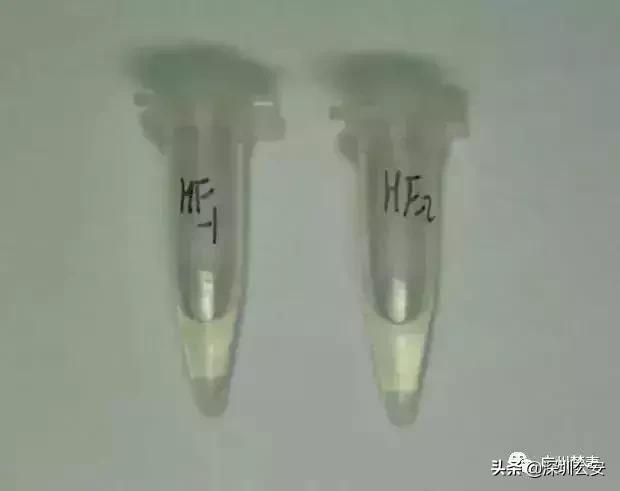 知识点有什么,知识点的重要性