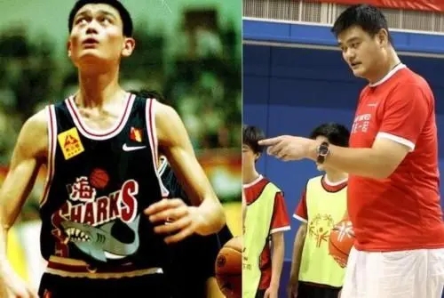 姚明上海鲨鱼队,姚明收购上海队多少钱