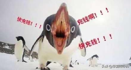 鑵捐娓告垙姘噾鐜扮姸,鑵捐娓告垙姘噾涔辫薄