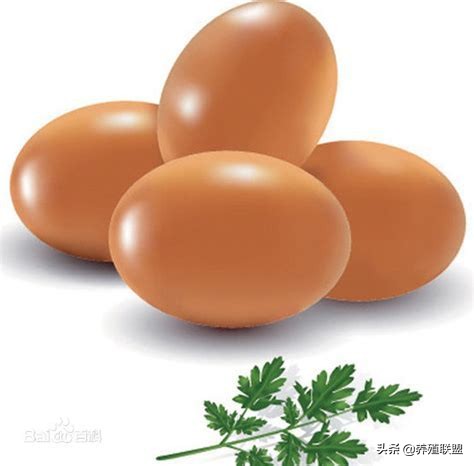 出货端蛋贱坑农，消费端蛋贵伤民