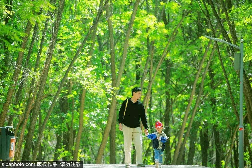 适合旅游的免费景点北京,推荐北京假期游玩的地方