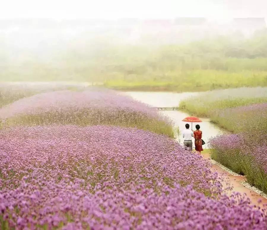 不一样的生活高新区,高新区有什么特点