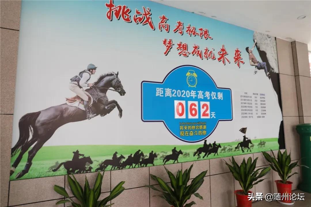 湖北曾都一中复学,好久不见武汉纪录片免费观看