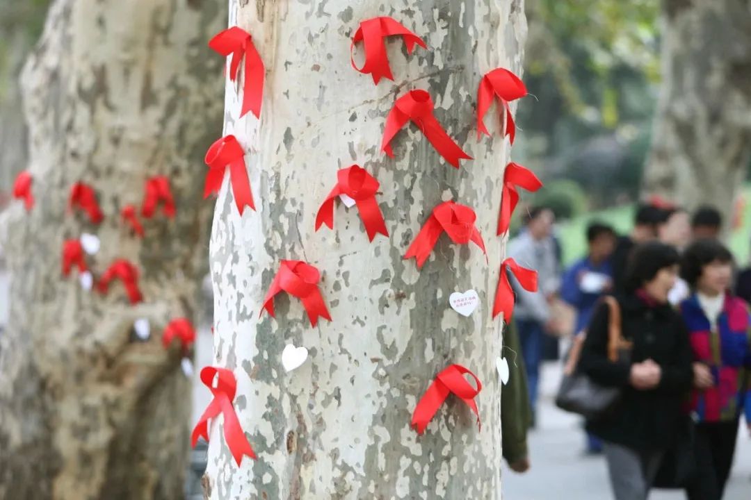 我们与艾滋的距离,我们与恶的距离