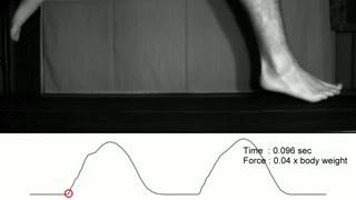 跑鞋技术演变,跑鞋衰退程度