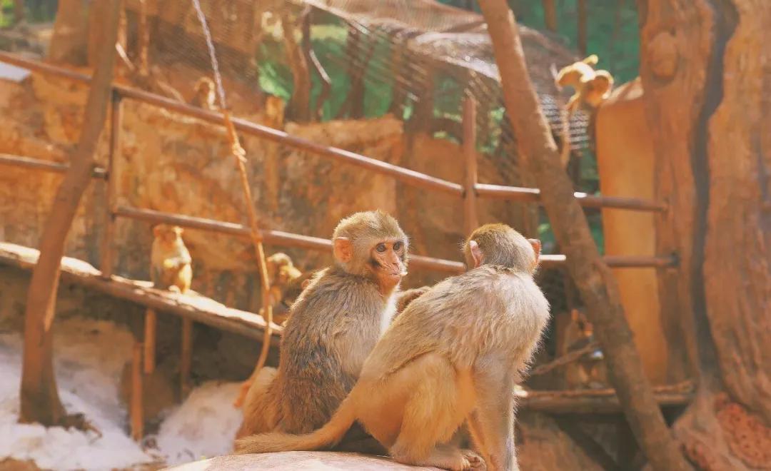 昆明亲子乐园游玩攻略,昆明周边游童话世界亲子乐园