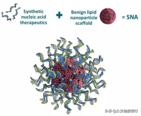 创新药治疗脱发新药,治疗脱发新研药研发现状