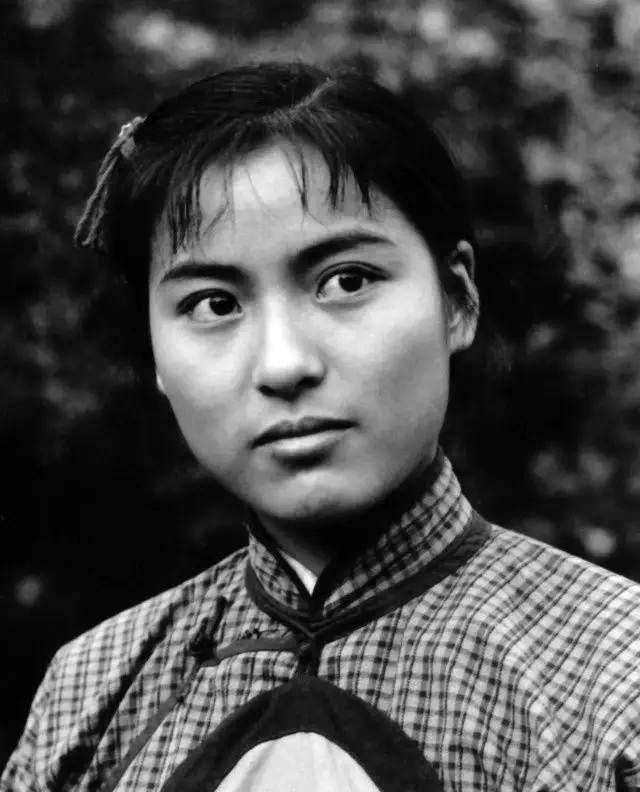 奚美娟国家一级演员,潘虹和奚美娟的电视剧