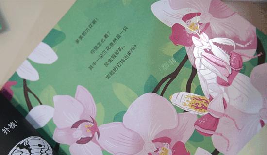 这套让娃沉迷一整天的科普书，连大人都忍不住偷着玩！畅销300万