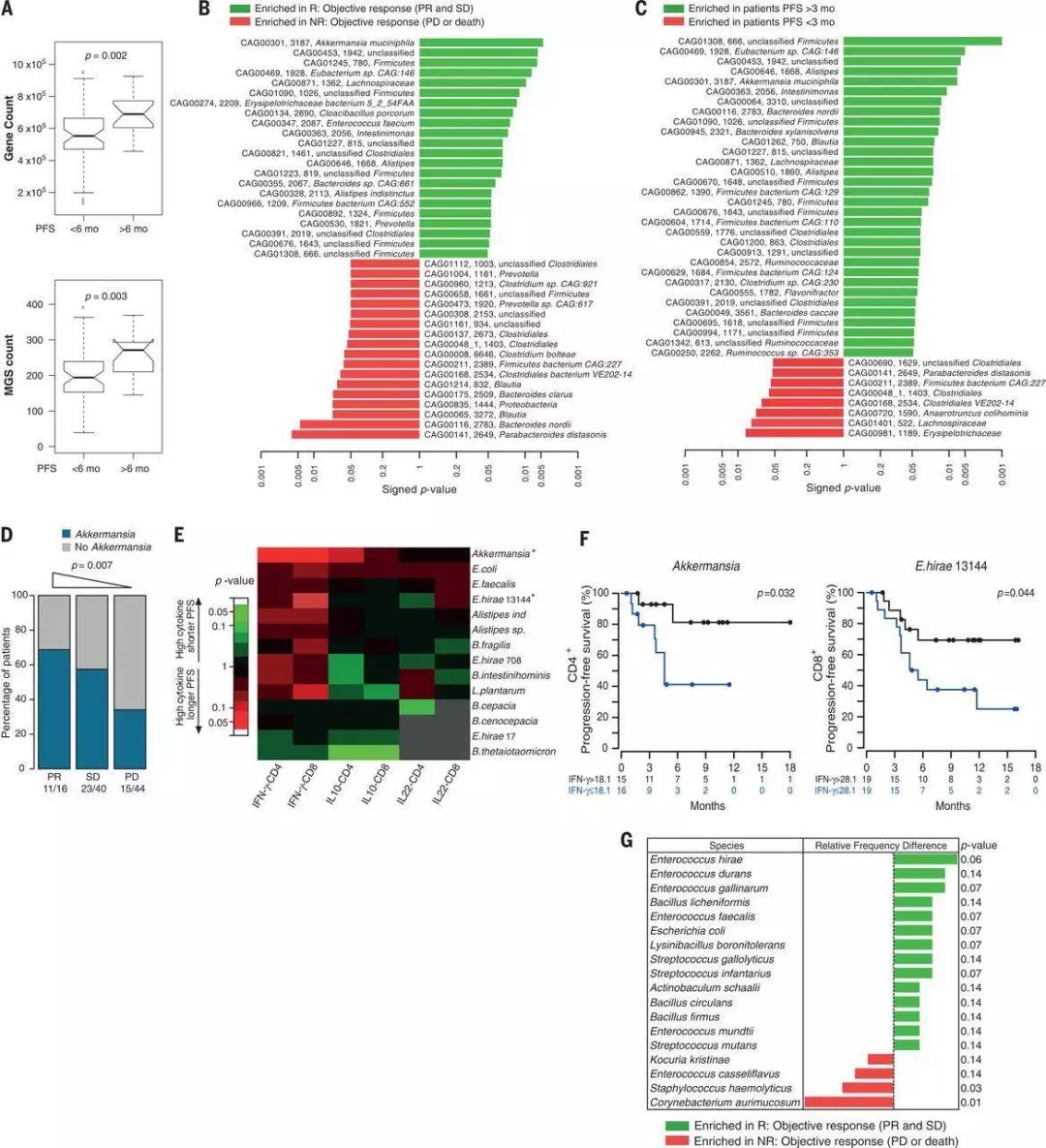 利用宿主分泌的粘蛋白“为食”的Akk菌