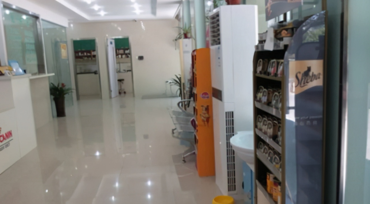 走近瑞派宠医|胡浩院长：好医生要慢着来