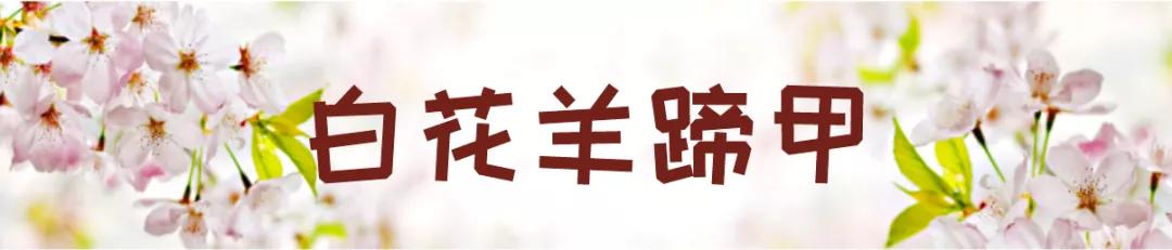 在云南，做一个“花吃”，挺好