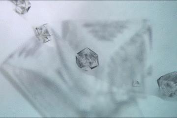 暑假孩子玩手机不如打篮球吧,儿童显微镜放大蚂蚁120倍