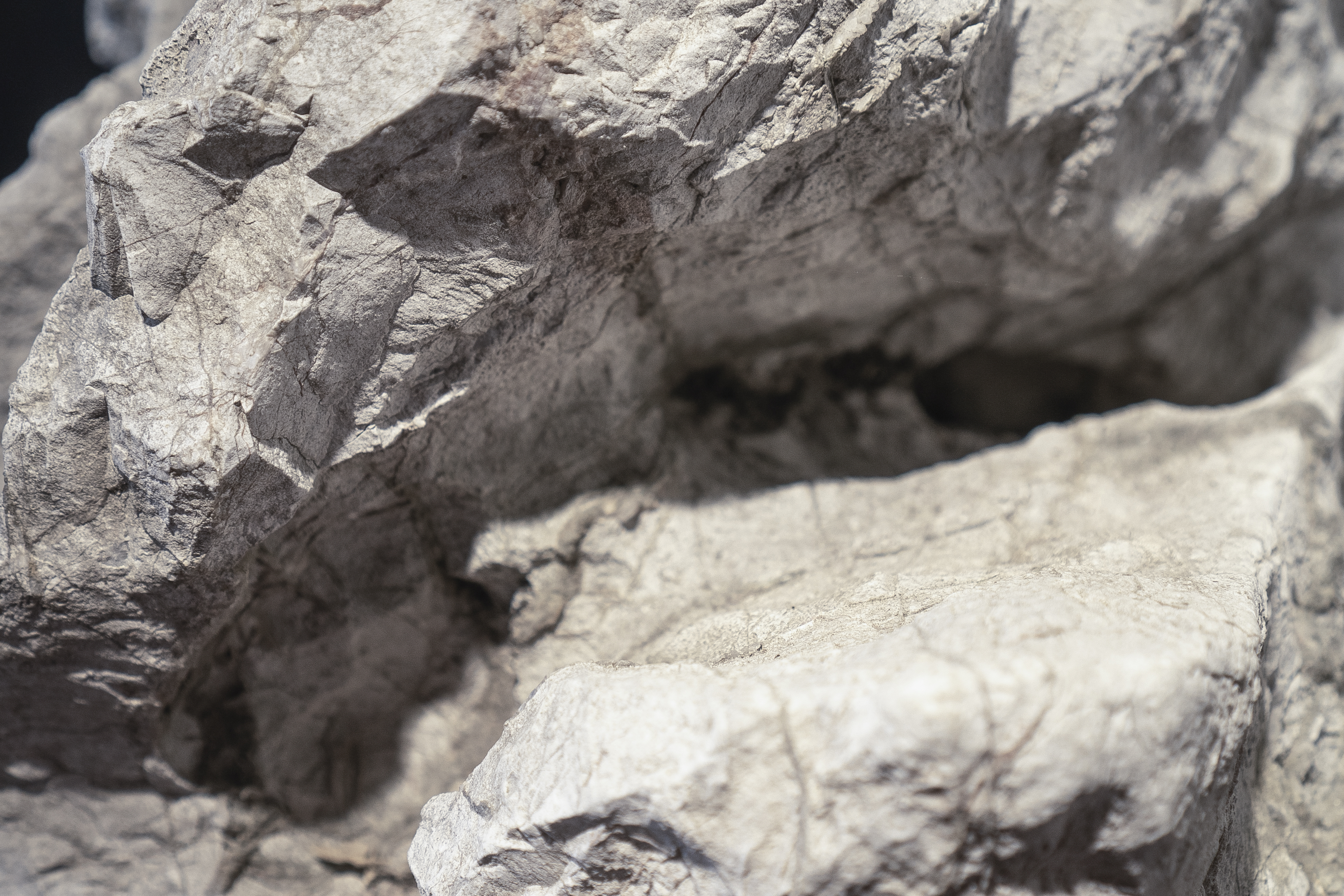 苏州园林中的石文化,苏州园林文化知识