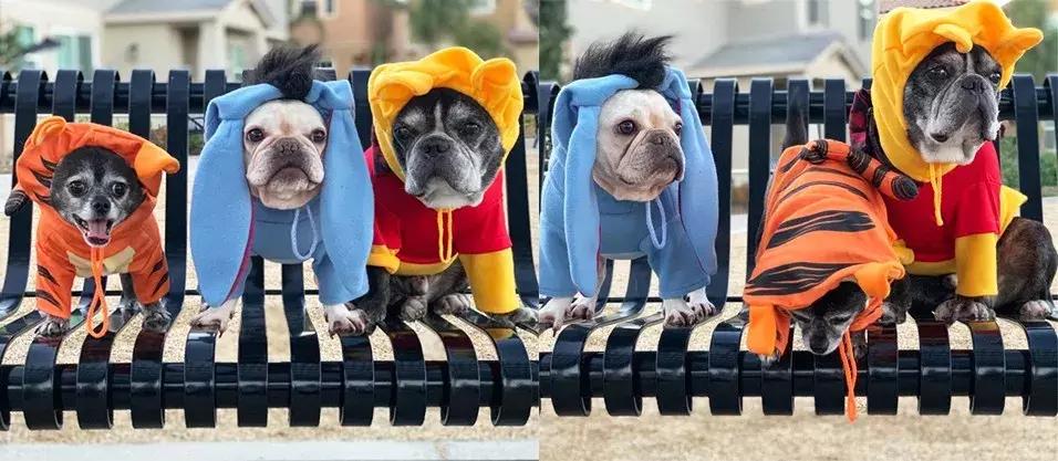 gucci和supreme联名马丁靴,guccisupreme鞋子