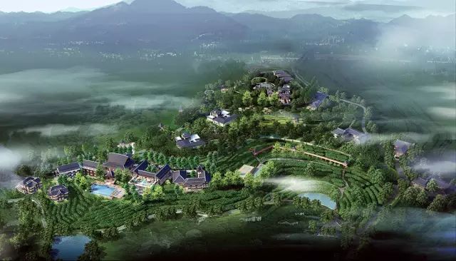 全国十大名茶旅游地,中国十大茶旅