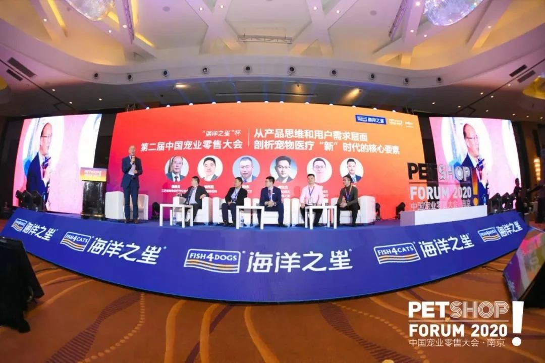 新瑞鹏深度分析,新瑞鹏和佳雯