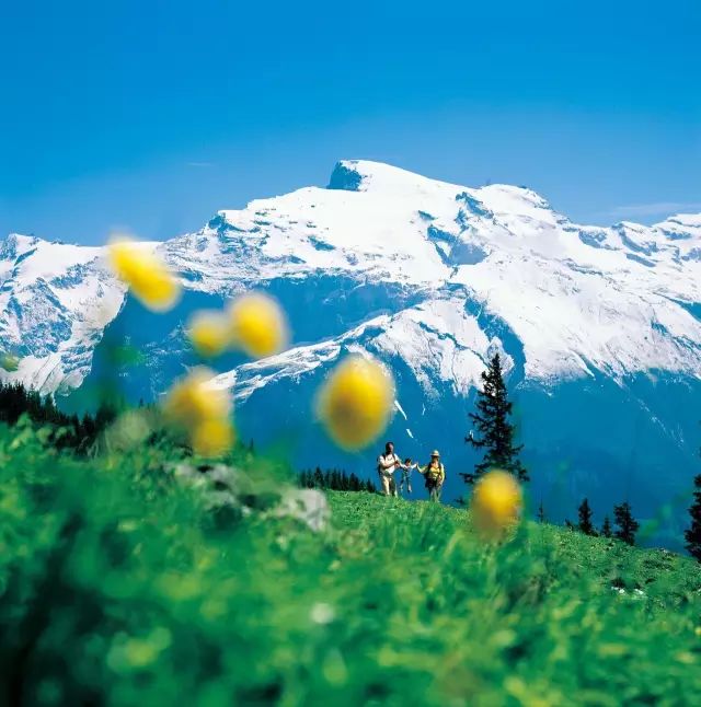 瑞士风光一览,欧洲瑞士的风景