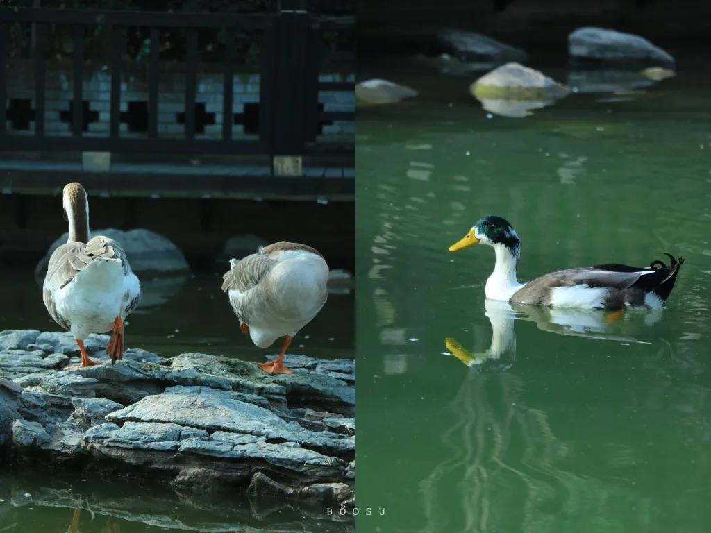 九大美院校园风景,中国九大美院校园风采
