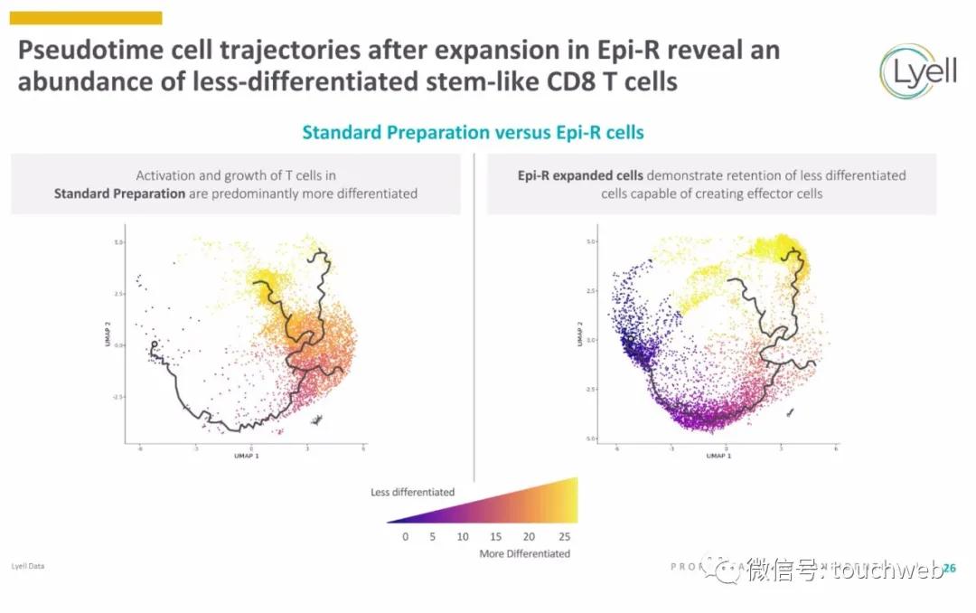 肿瘤免疫治疗公司Lyell冲刺美股：年亏2亿美元路演PPT曝光
