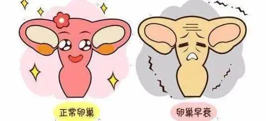 这些现象，代表着卵巢衰老