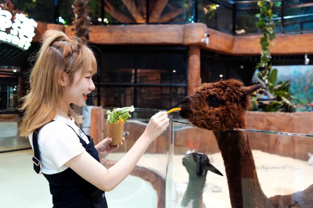 水世界海世界欢乐部落,桂林欢乐谷和融创海世界攻略