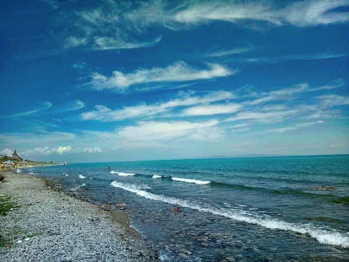 青海湖湟鱼洄游季直播,青海湖湟鱼洄游开幕式