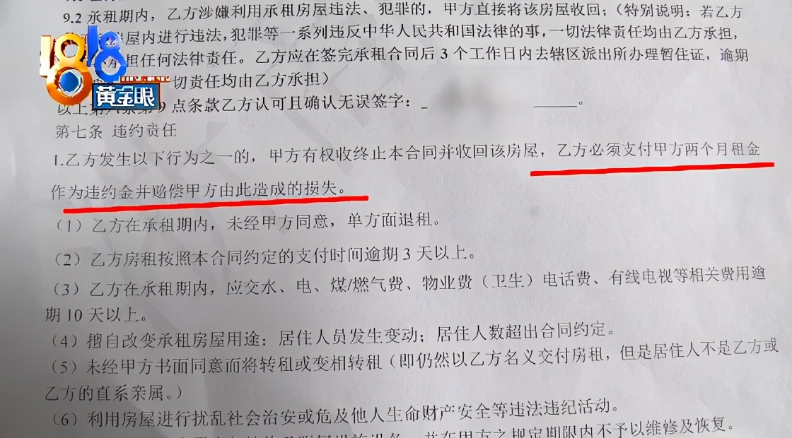 养了十多天的猫损失了几万元,偷偷养只猫最后全军覆没