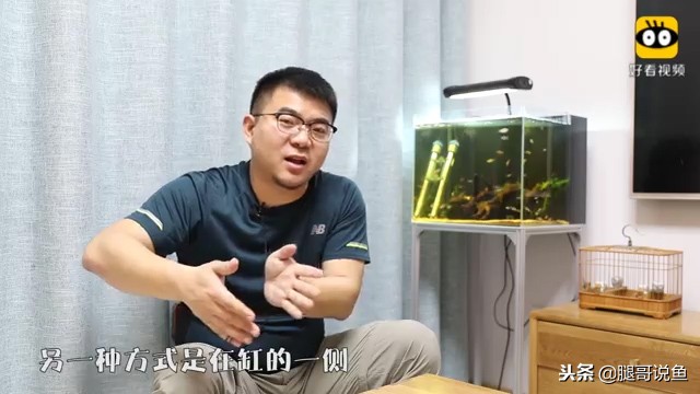 大缸什么过滤效果最好,什么过滤方式小缸效果最佳