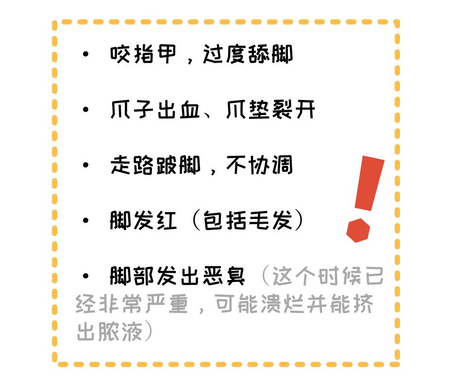 冬天宝宝皮肤粗糙颗粒状像鸡皮痒,猫咪肉垫上有个硬硬的是什么东西