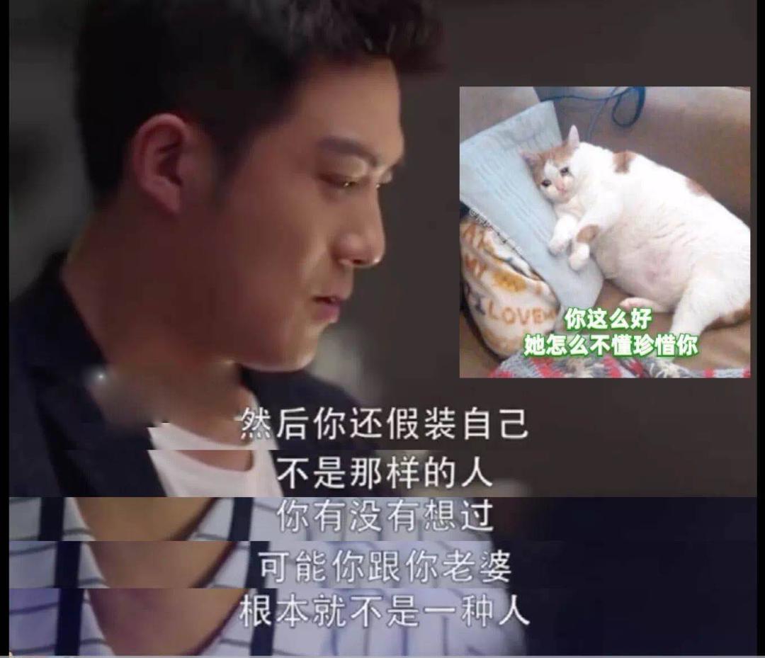 高段位绿茶女到底有多可怕,绿茶女的套路到底有多深