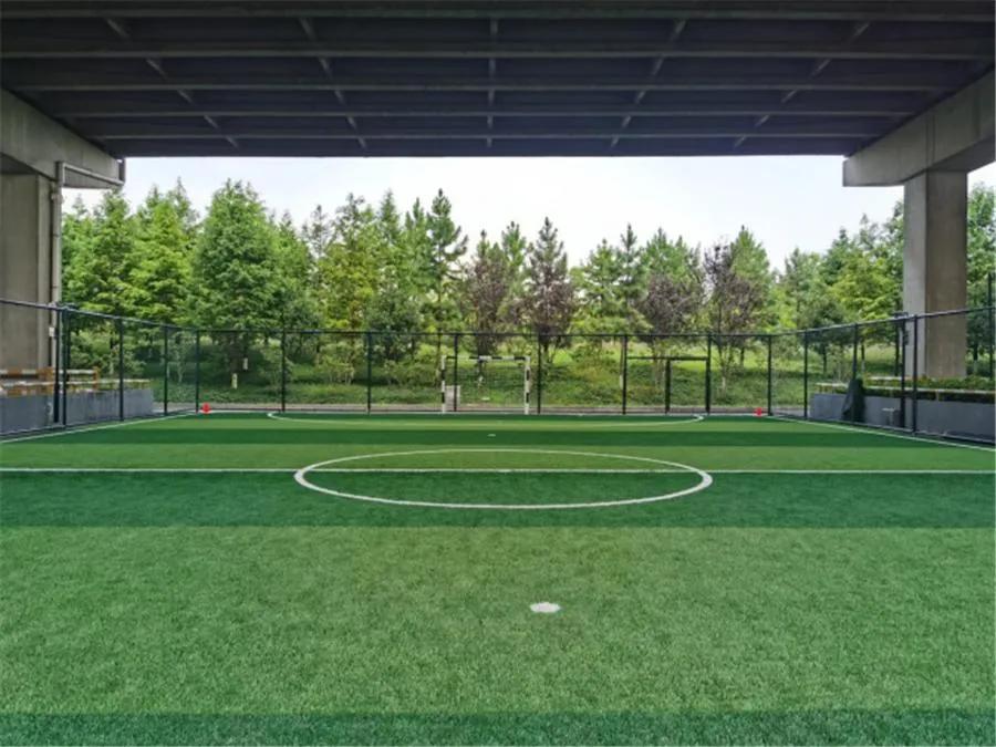 看！门前大桥下，运动场一片片冒出来，你去打卡了吗