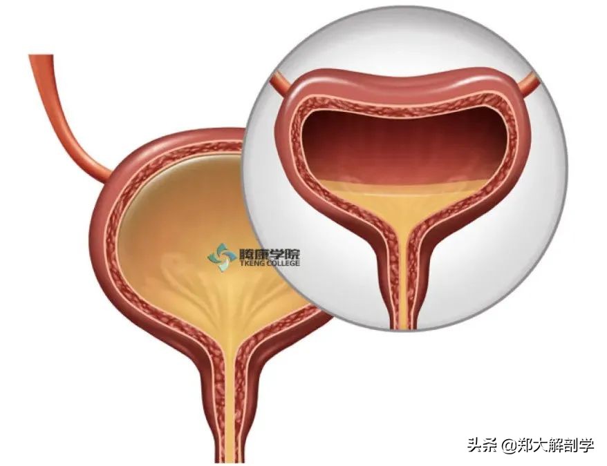 女性盆底功能障碍性疾病表现,南通治疗盆底功能障碍的医院