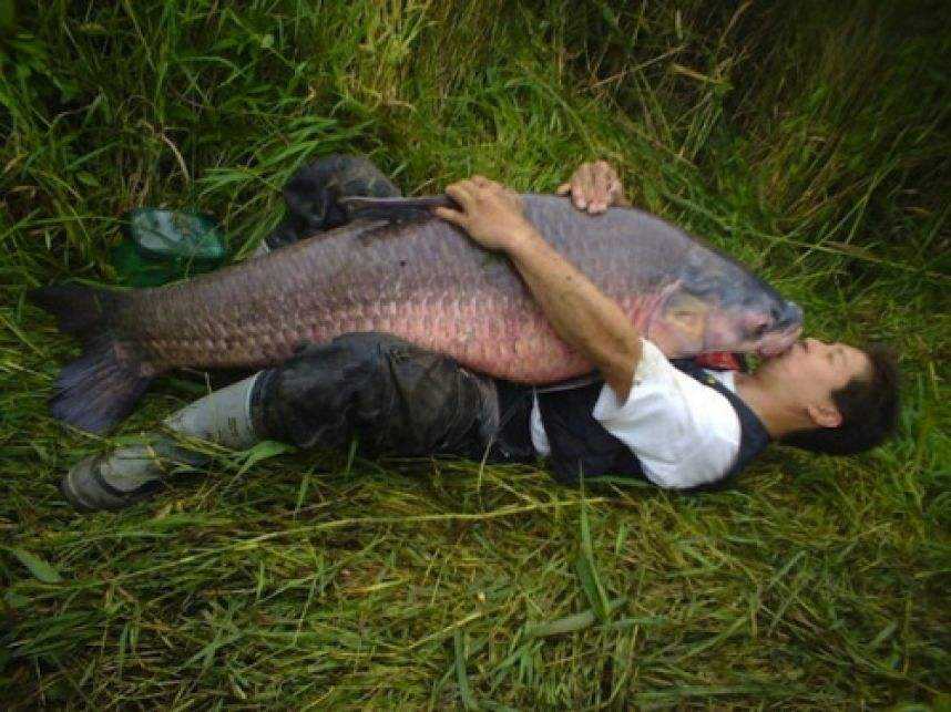 直播钓鱼带货多久能见收益,天上会掉馅饼吗搞笑回复