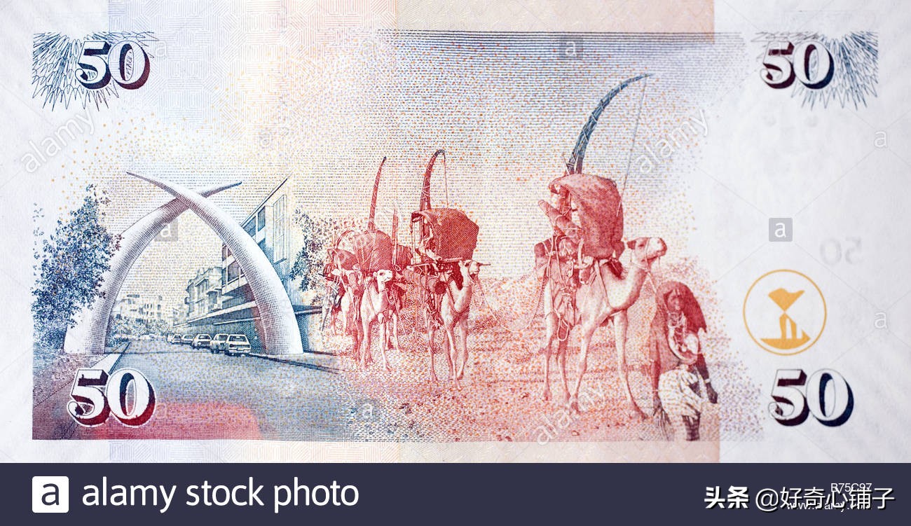 全球值得收藏的纸币,世界各国前五大超有趣纸币