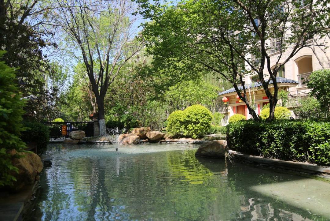 光荣与梦想解读,光荣与梦想的主题思想