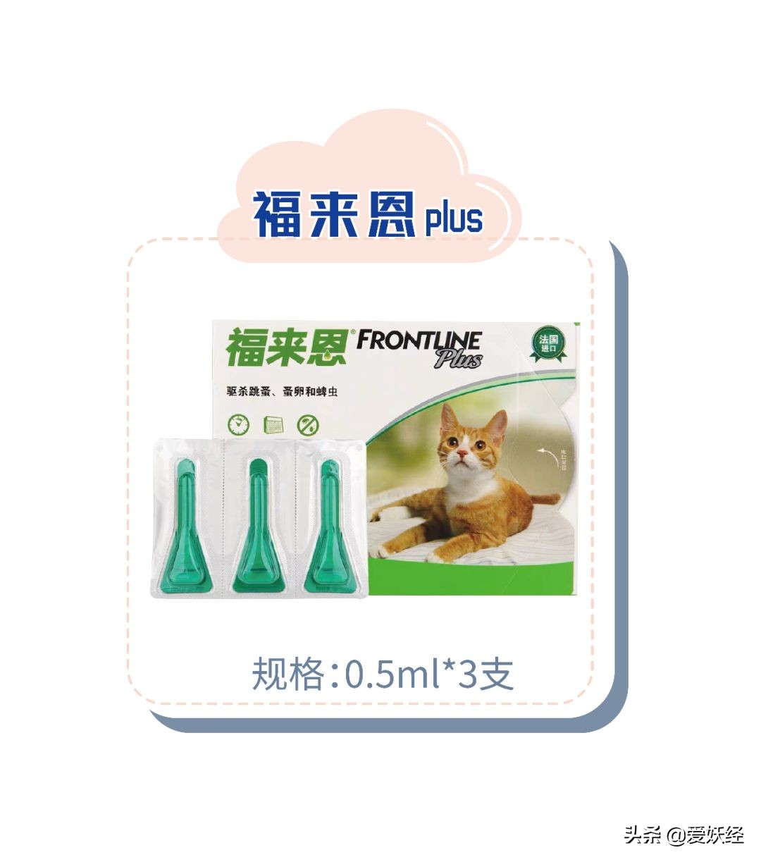 别说老狐狸不宠粉,你们要的猫用驱虫药测评!来喽