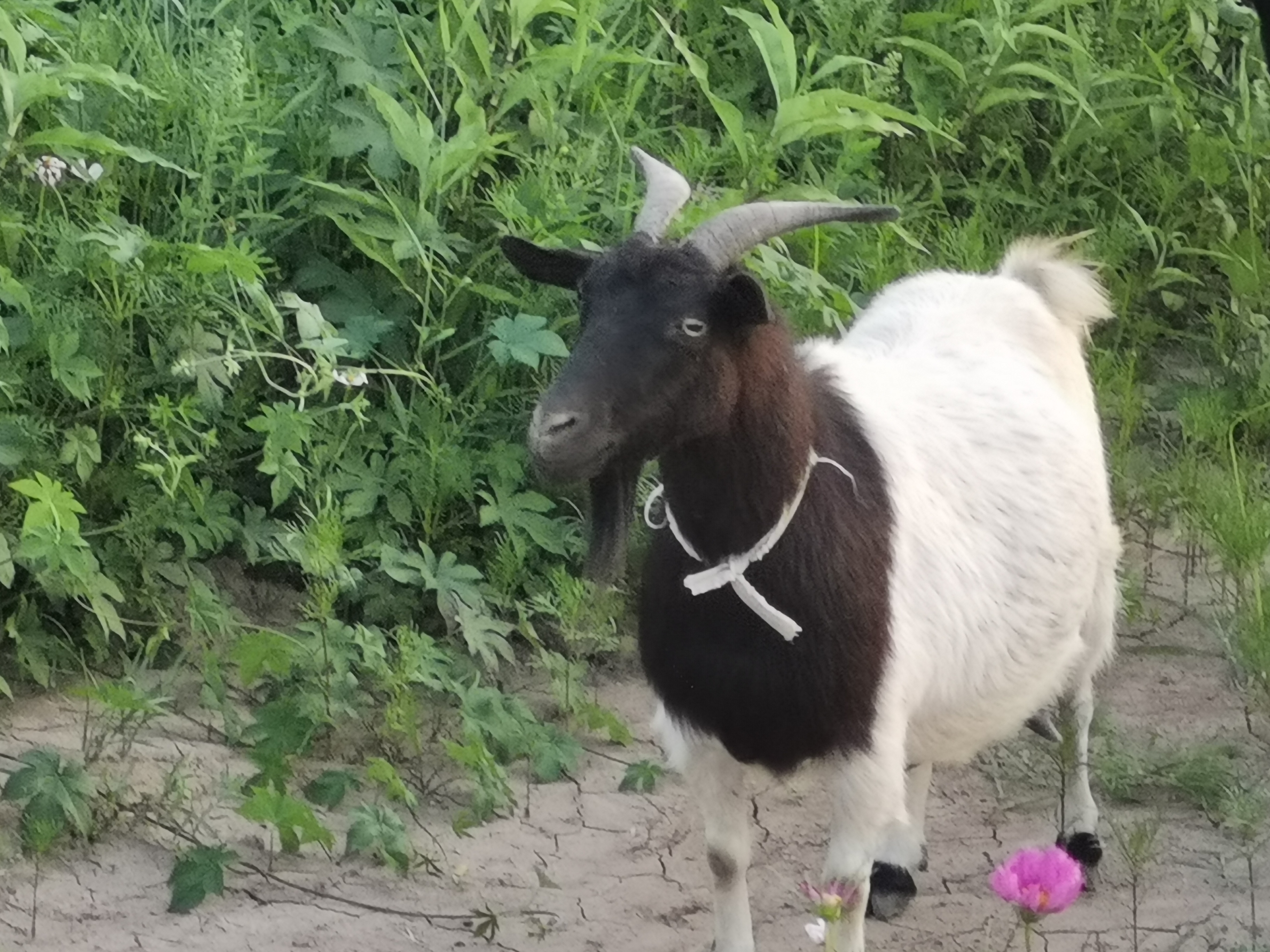 马鞍山风景名胜区,生态画卷美不胜收