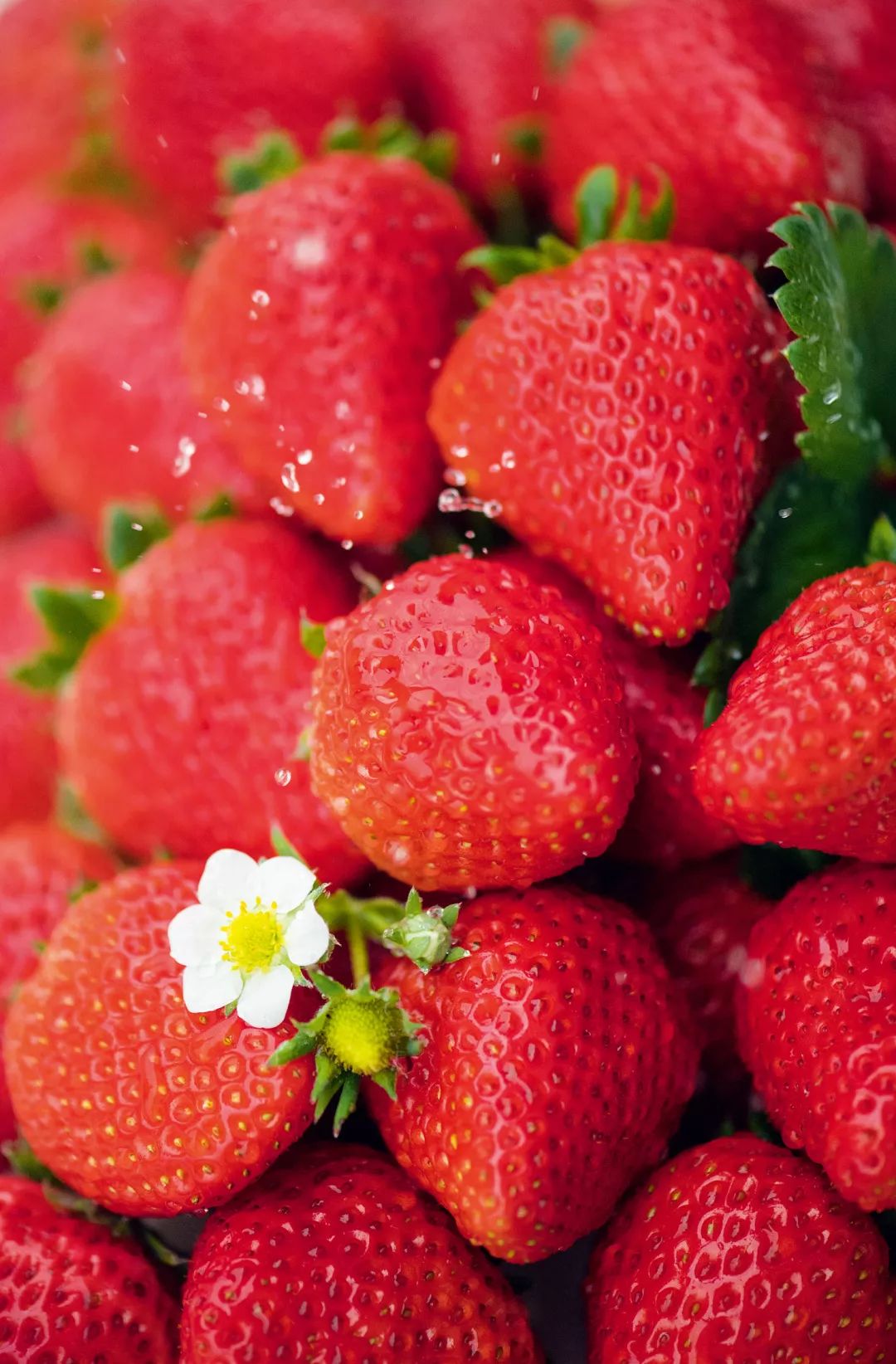 中国人过年太有意思,中国人过年有什么活动