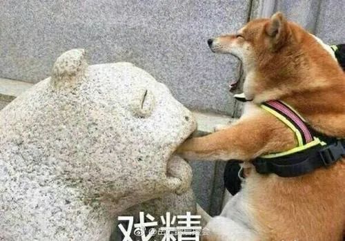 北京还要下多久的雨,北京雨下了多久