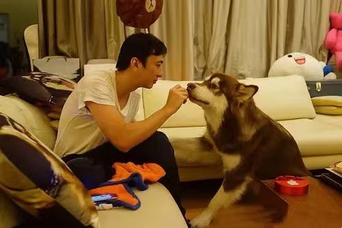 “国民老公”王思聪的风流往事，和他用钱征服的19个女友