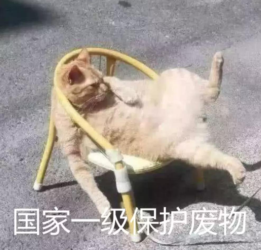 恭喜！天津10所高中45人提前锁定清华北大！耀华中学排第五