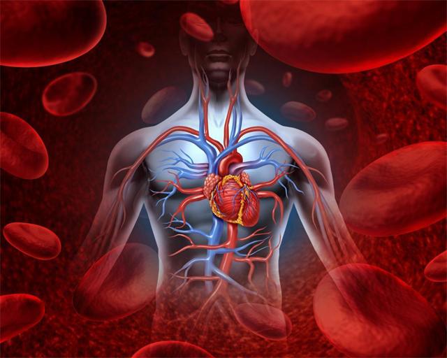 治疗高血压会有突破吗,治高血压也可降尿酸