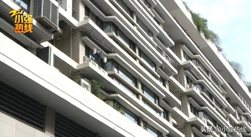 杭州一女子花4万租房,杭州一女孩租房后续